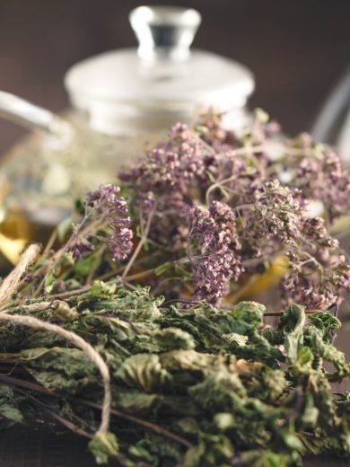 Atelier : Les tisanes détox de printemps (1h30)