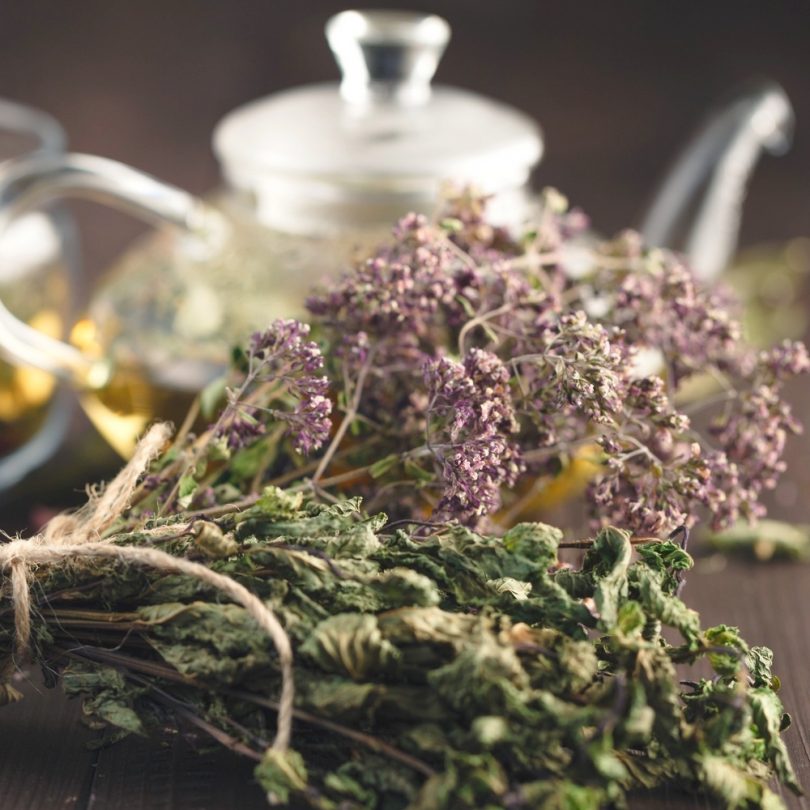Atelier : Les tisanes détox de printemps (1h30)