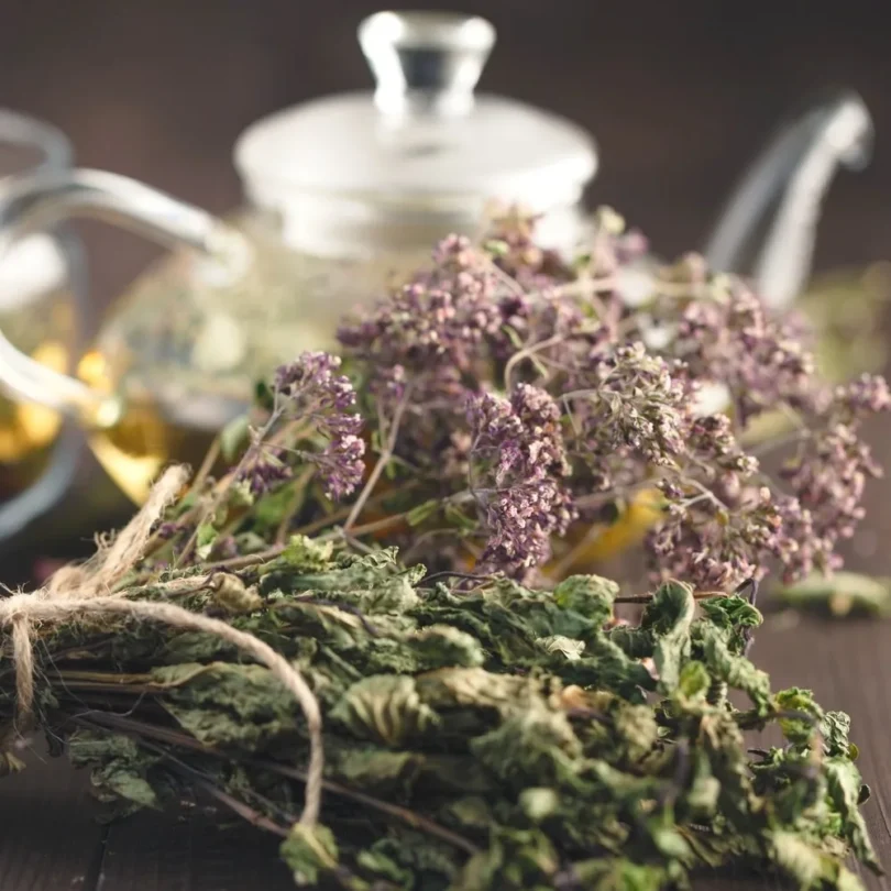 Atelier : Les tisanes détox de printemps (1h30)