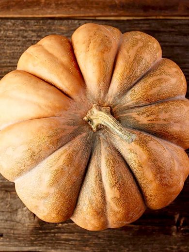 Courge 'Musquée de Provence' (Variété ancienne) Graines