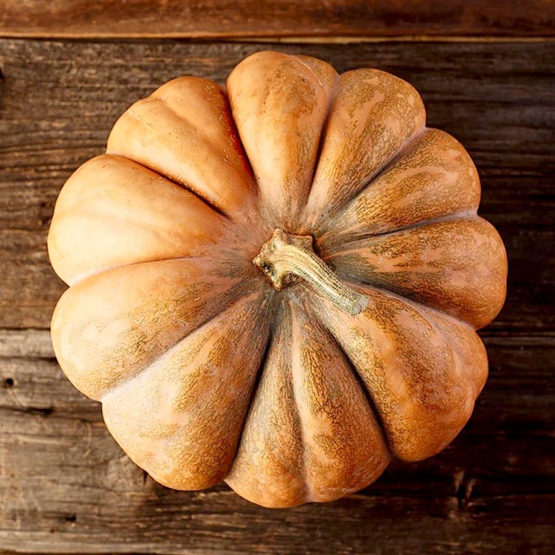 Courge 'Musquée de Provence' (Variété ancienne) Graines
