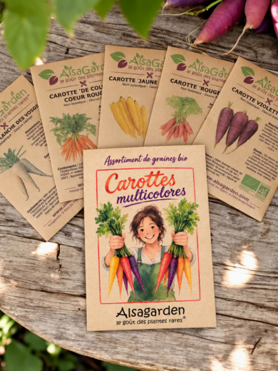 Assortiment Carottes multicolores (5 Variétés de graines BIO)