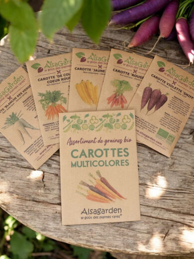 Assortiment Carottes multicolores (5 Variétés de graines BIO)
