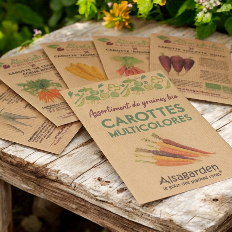 Assortiment Carottes multicolores (5 Variétés de graines BIO) – Image 2