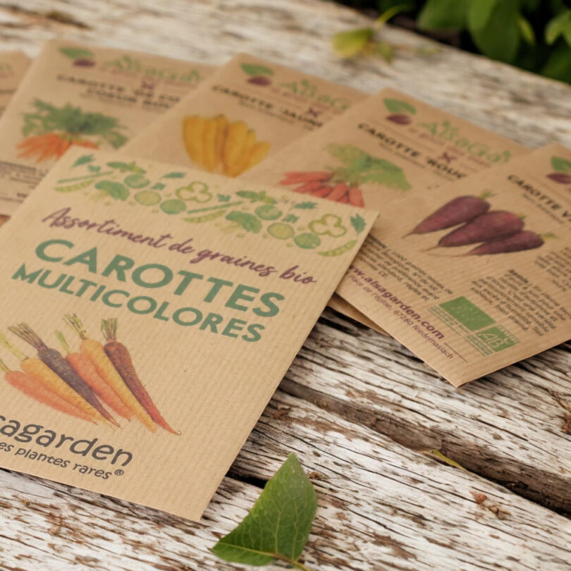 Assortiment Carottes multicolores (5 Variétés de graines BIO) – Image 3