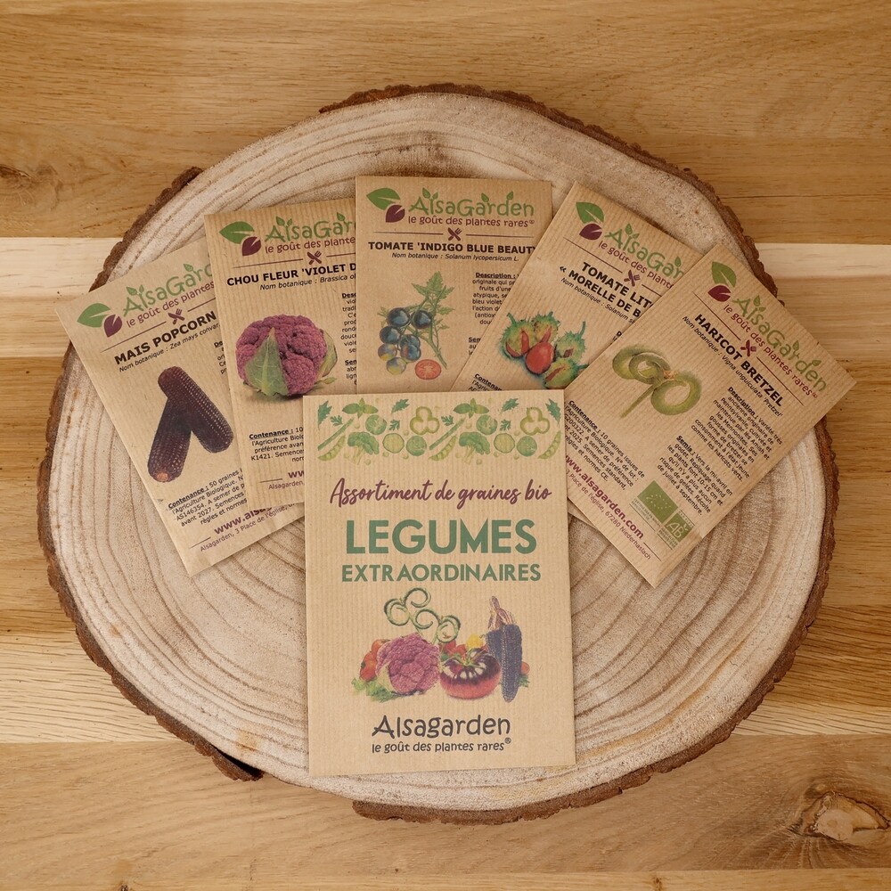 Assortiment de graines de légumes du Nord