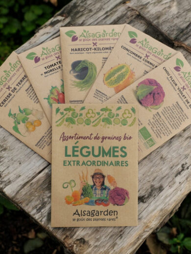 Assortiment Légumes extraordinaires (5 Variétés de graines BIO)