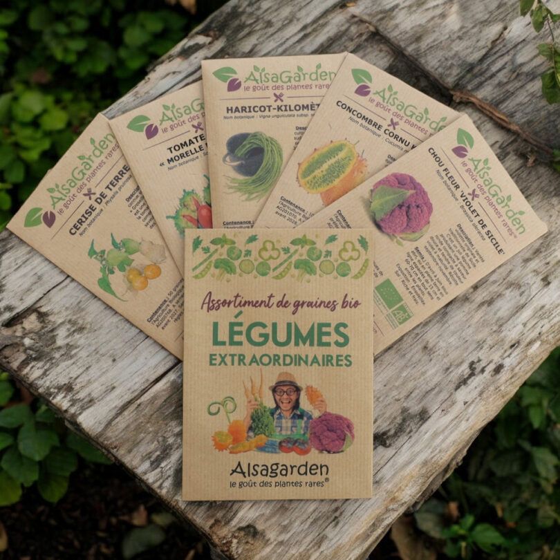 Assortiment Légumes extraordinaires (5 Variétés de graines BIO)