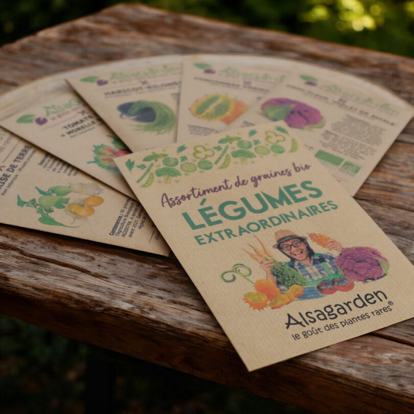 Assortiment Légumes extraordinaires (5 Variétés de graines BIO) – Image 2