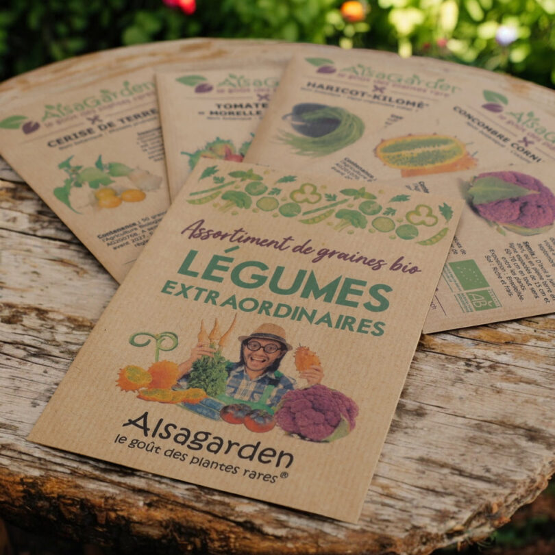Assortiment Légumes extraordinaires (5 Variétés de graines BIO) – Image 3