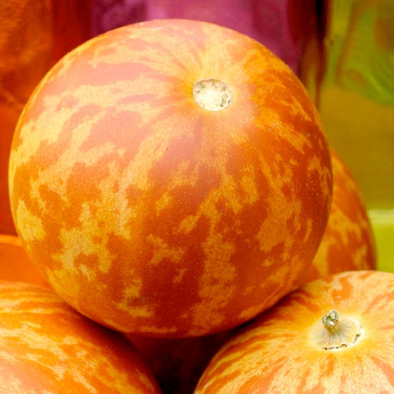 Melon 'Tigre d'Arménie' (Variété ancienne) Graines – Image 3