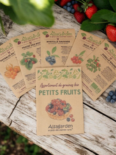 Assortiment Petits Fruits (5 Variétés de graines BIO)