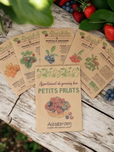 Assortiment Petits Fruits (5 Variétés de graines BIO)