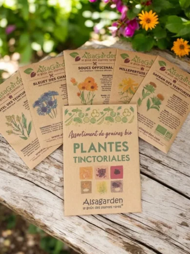 Assortiment Plantes tinctoriales (5 Variétés de graines BIO)