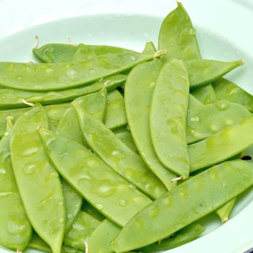 Pois mangetout ‘Géant Suisse’ (Variété ancienne) Graines