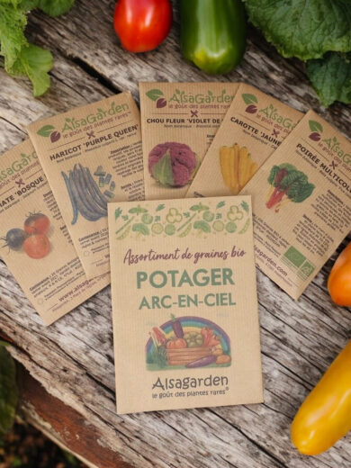 Assortiment Potager Arc-en-Ciel (5 Variétés de graines BIO)