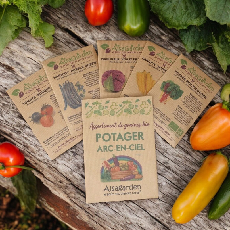 Assortiment Potager Arc-en-Ciel (5 Variétés de graines BIO)