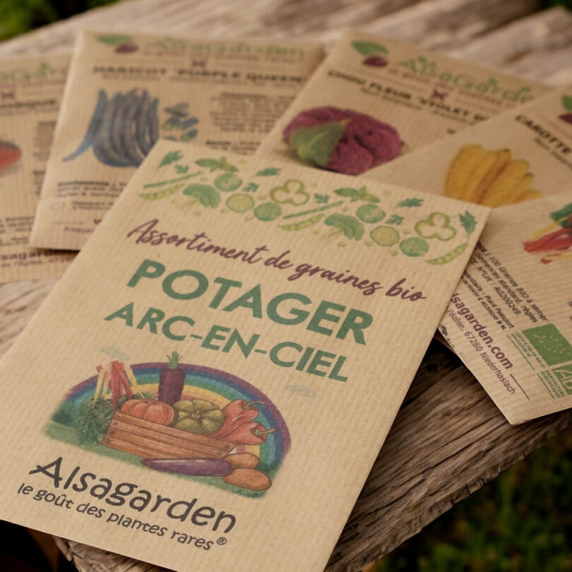 Assortiment Potager Arc-en-Ciel (5 Variétés de graines BIO) – Image 3