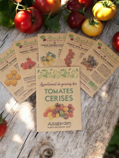 Assortiment Tomates cerises (5 Variétés de graines BIO)