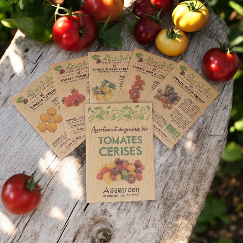 Assortiment Tomates cerises (5 Variétés de graines BIO)