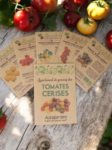 Assortiment Tomates cerises (5 Variétés de graines BIO)