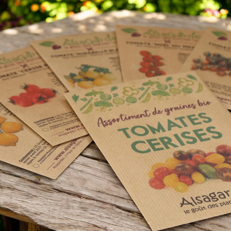 Assortiment Tomates cerises (5 Variétés de graines BIO) – Image 3