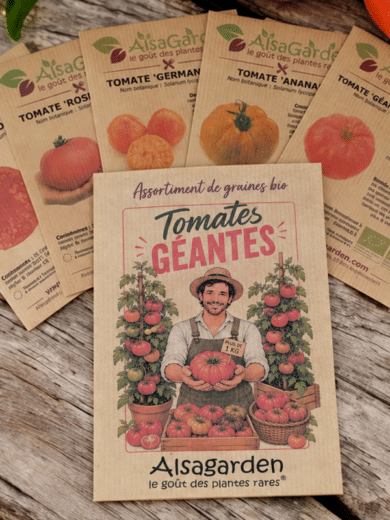 Assortiment Tomates géantes (5 Variétés de graines BIO)