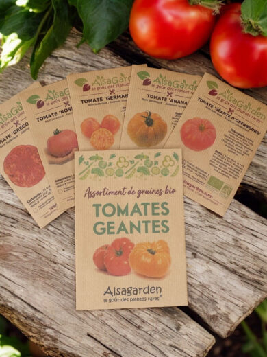 Assortiment Tomates géantes (5 Variétés de graines BIO)
