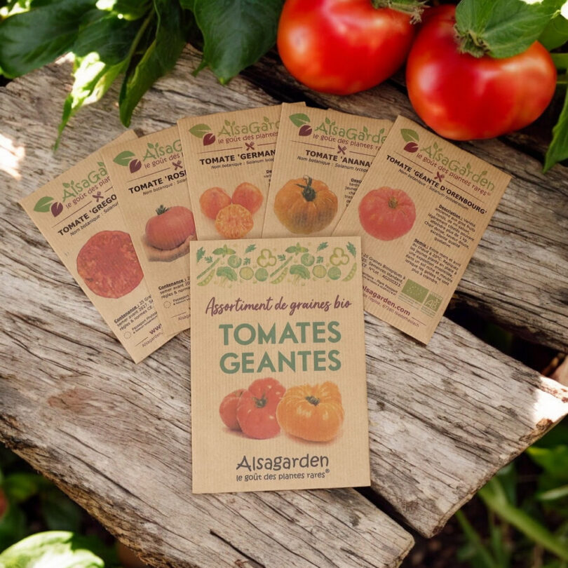 Assortiment Tomates géantes (5 Variétés de graines BIO)
