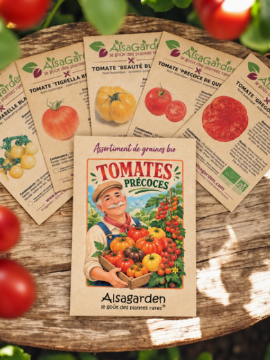 Assortiment Tomates Précoces (5 Variétés de graines BIO)