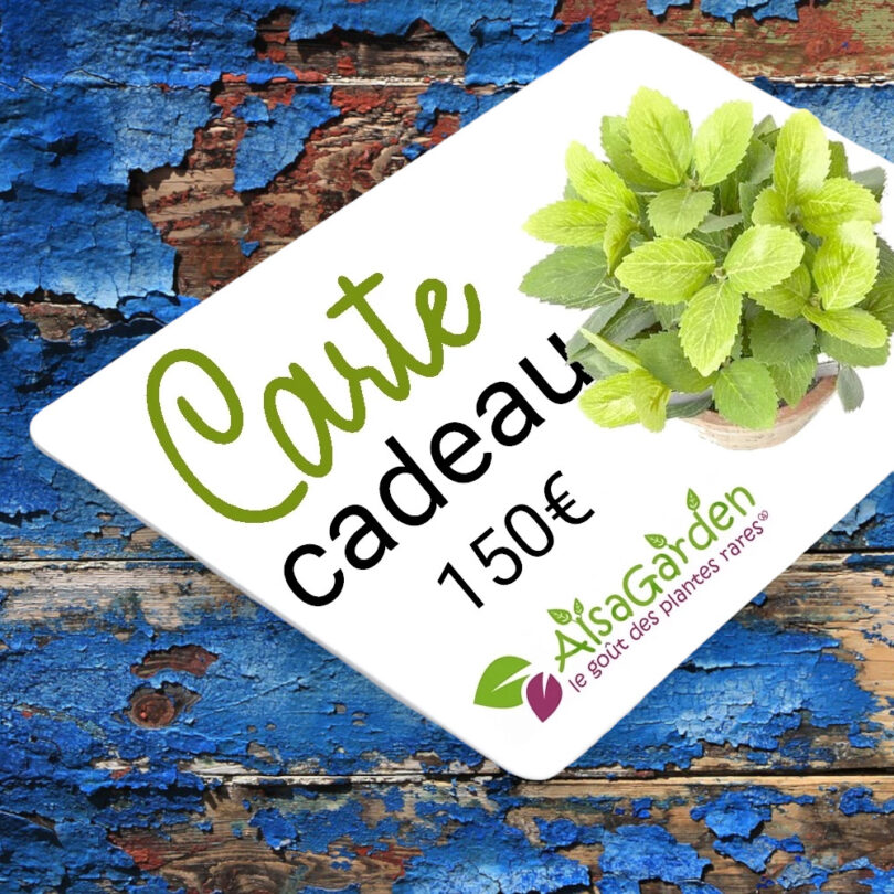 Carte Cadeau Alsagarden 150€