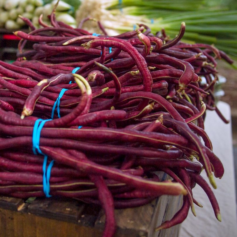 Haricot serpent 'Red Noodle' (Vigna unguiculata) Graines