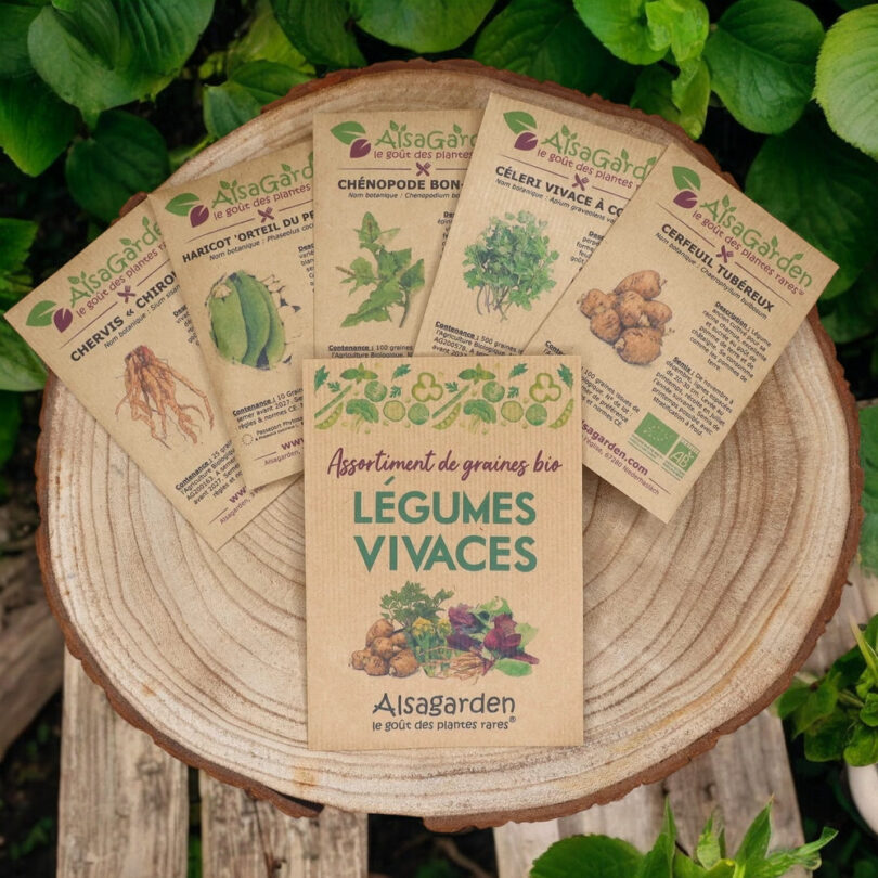 Assortiment Légumes Vivaces (5 Variétés de graines BIO)