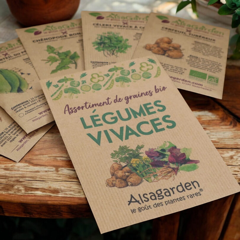 Assortiment Légumes Vivaces (5 Variétés de graines BIO) – Image 3