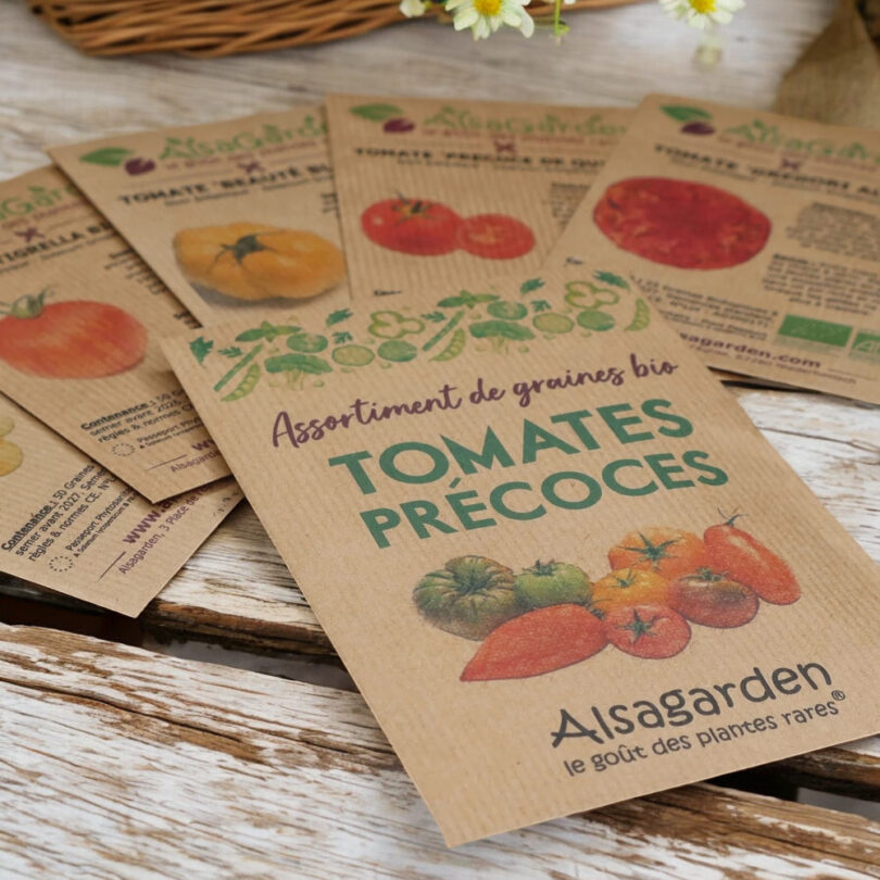 Assortiment Tomates Précoces (5 Variétés de graines BIO) – Image 3