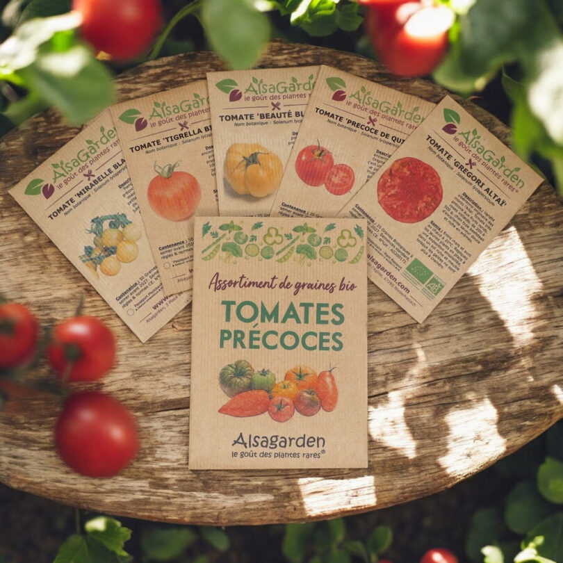 Assortiment Tomates Précoces (5 Variétés de graines BIO)