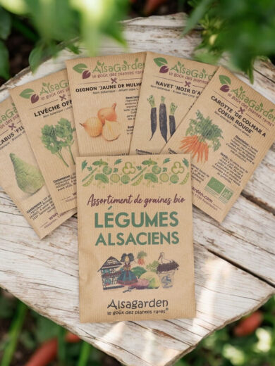 Assortiment Légumes Alsaciens (5 Variétés de graines BIO)