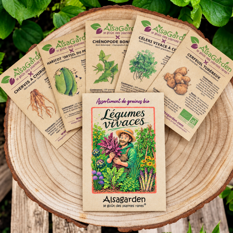 Assortiment Légumes Vivaces (5 Variétés de graines BIO)