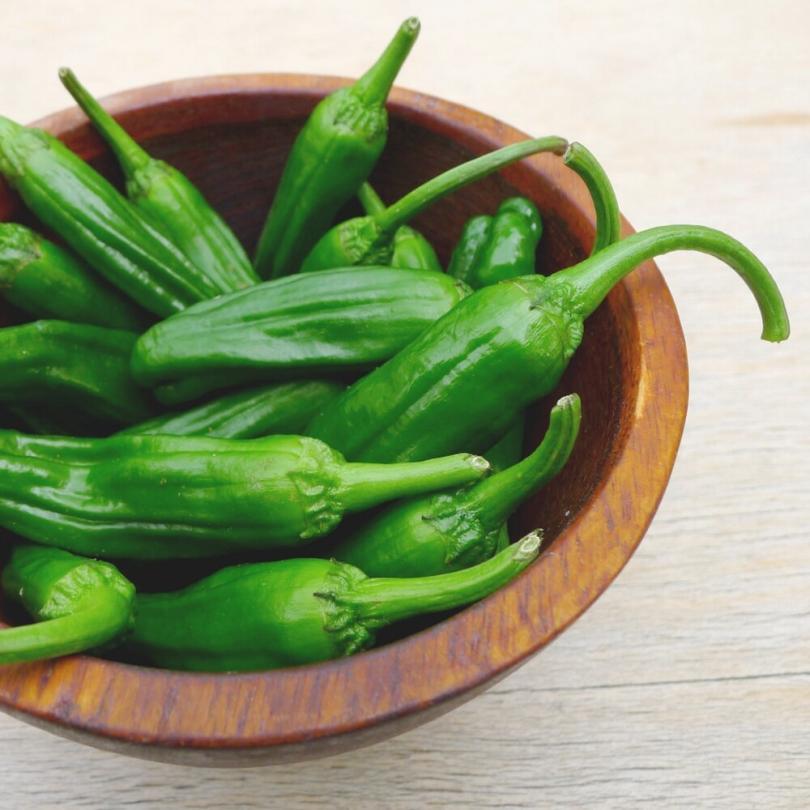 Piment 'Padrón' (Variété ancienne Espagnole) Graines