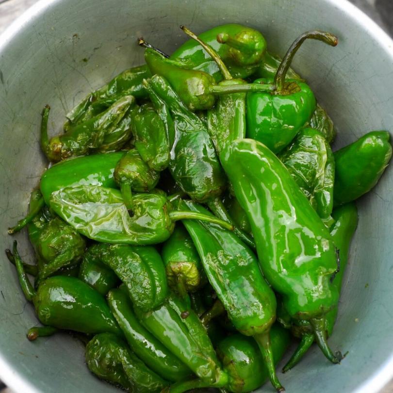Piment 'Padrón' (Variété ancienne Espagnole) Graines – Image 2