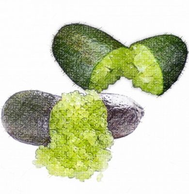 Les plantes tendances