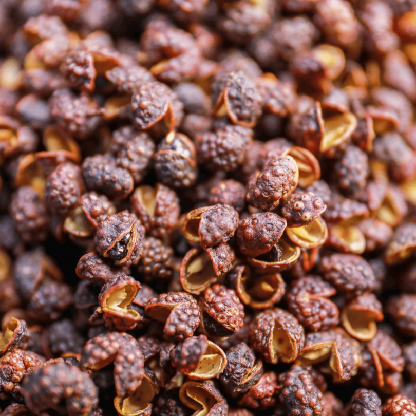 Poivrier de Timut (Zanthoxylum armatum) Graines – Image 3