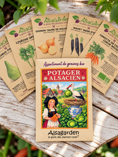 Assortiment Légumes Alsaciens (5 Variétés de graines BIO)