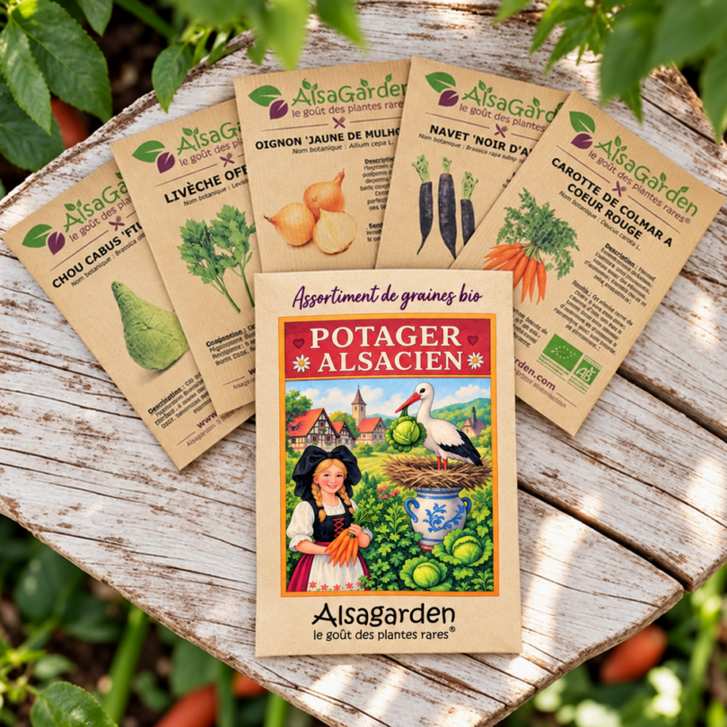 Assortiment Légumes Alsaciens (5 Variétés de graines BIO)
