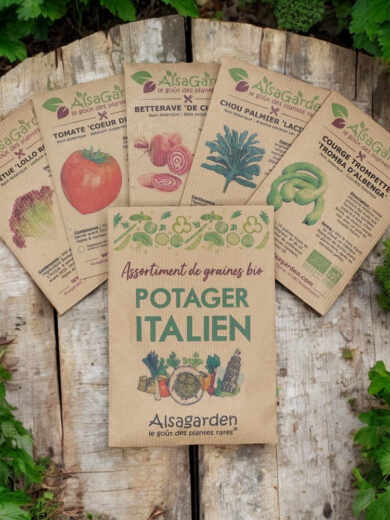 Assortiment Potager Italien (5 Variétés de graines BIO)