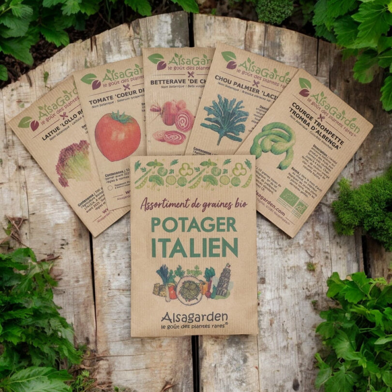 Assortiment Potager Italien (5 Variétés de graines BIO)