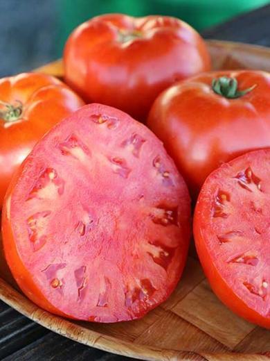 Tomate 'Rouge de Corse' (Variété Ancienne) Graines