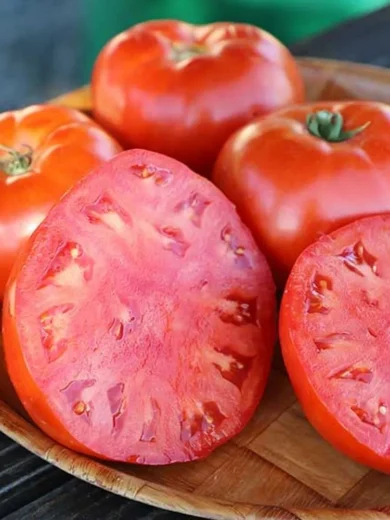 Tomate 'Rouge de Corse' (Variété Ancienne) Graines