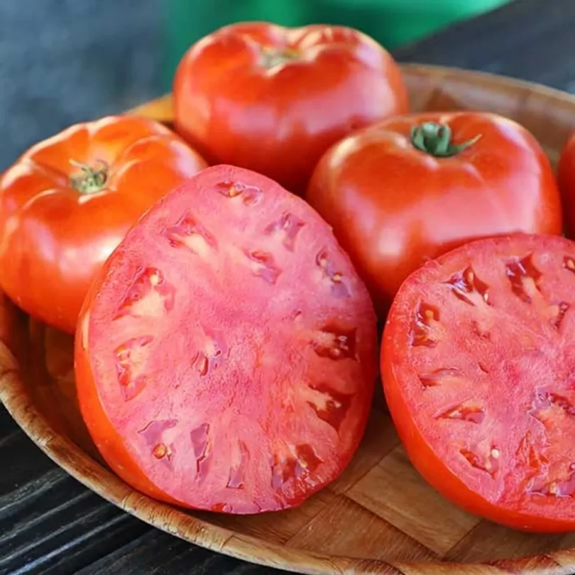Tomate ‘Rouge de Corse’ (Variété Ancienne) Graines