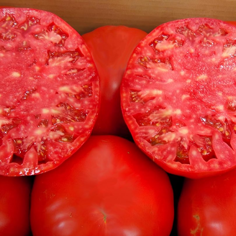 Tomate 'Couilles de Taureau' (Variété ancienne) Graines – Image 2